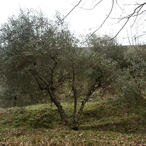 Tradizione Toscana Ristrutturata Nel 2021 Chalet Barga